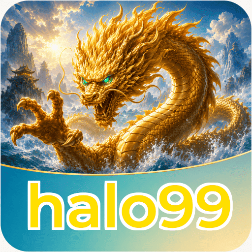 halo99 Verification